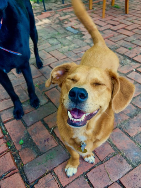 Entry image for Maddie. Clicking this image will show a larger photo