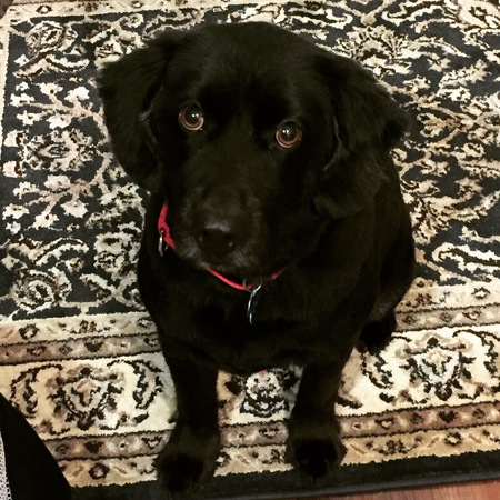 Entry image for Micah. Clicking this image will show a larger photo