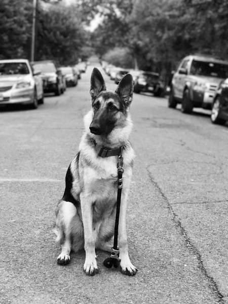 Entry image for Tahoe . Clicking this image will show a larger photo