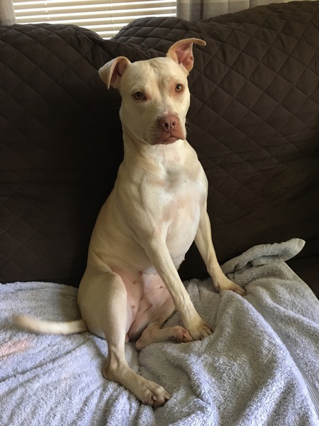 Entry image for Cailee. Clicking this image will show a larger photo