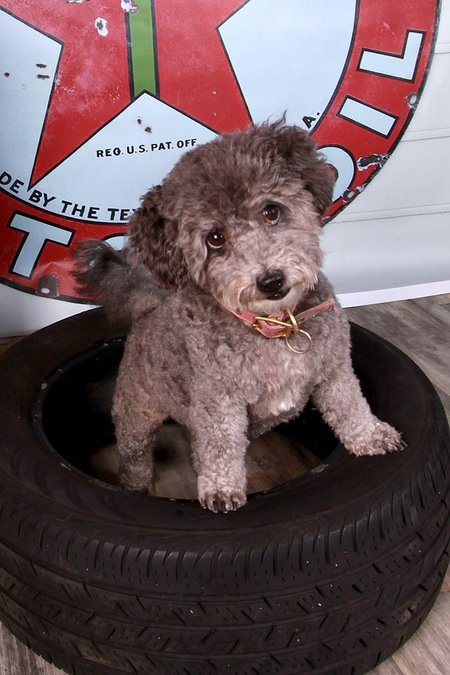 Entry image for Halle Berry. Clicking this image will show a larger photo