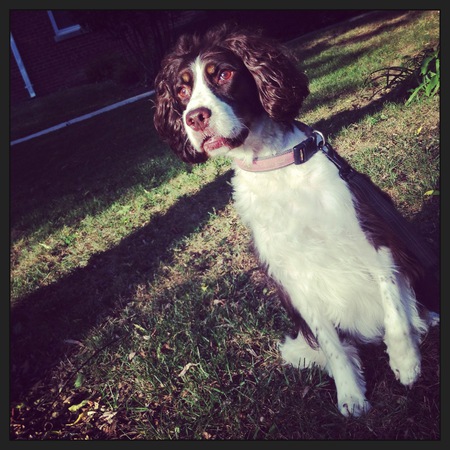 Entry image for Lucy Moran. Clicking this image will show a larger photo