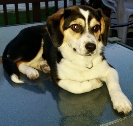 Entry image for Khloe . Clicking this image will show a larger photo