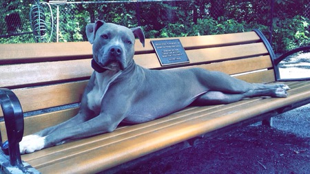 Entry image for Bella Notte. Clicking this image will show a larger photo