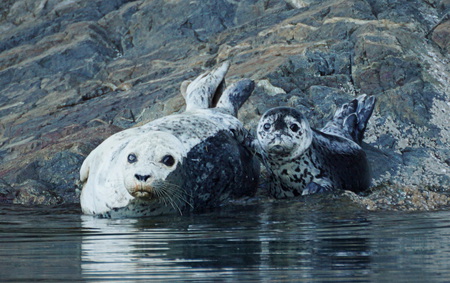 Scrumptous mother and pup