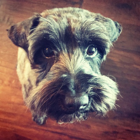 Oscar