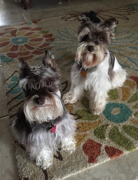 Jackie and CoCo