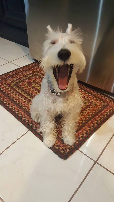 Oliver