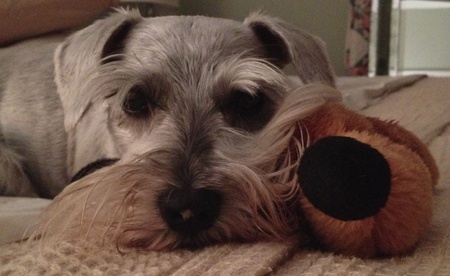 Sadie