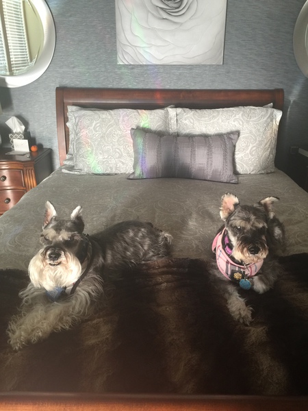 Theo Scott and Aspen Scott