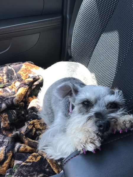 Zoe