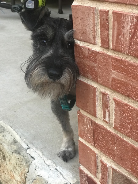 Prince Reagan Watts