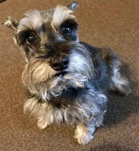 Sammie