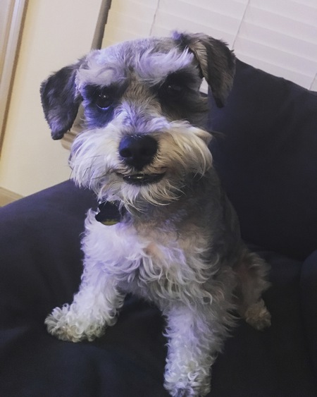 Diego