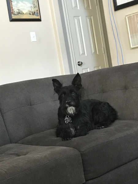 Archer