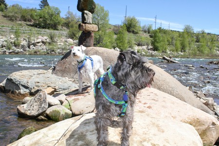 Sailor and Surfer