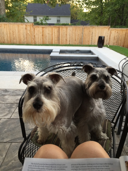 Lulu & Stella