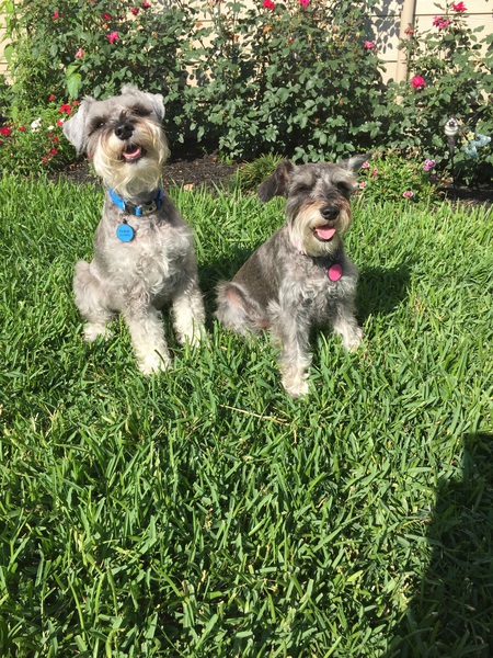 Oskar & Olive