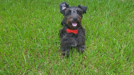 Ollie (Formally Jordan)