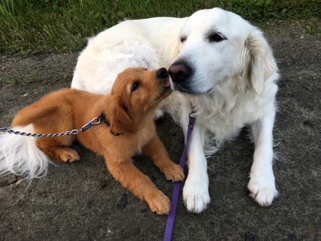 Daisy Ciaschini with little Molly 