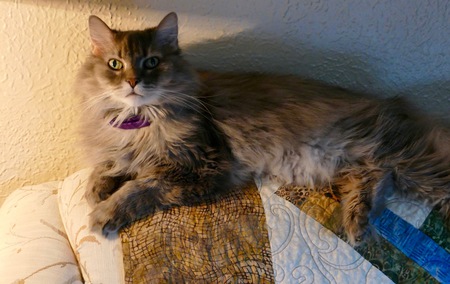 Lulu