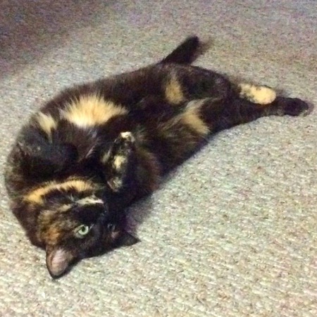 Missy