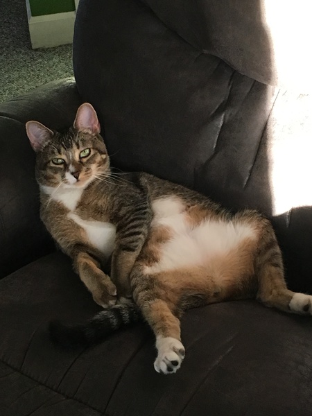 Pepper