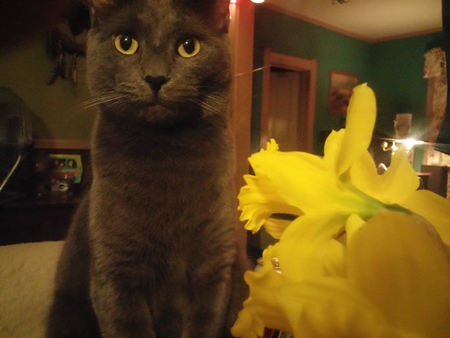 Sonny
