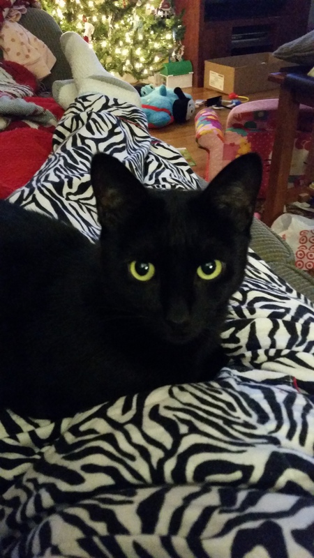 Elmer