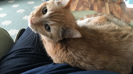 Eddie