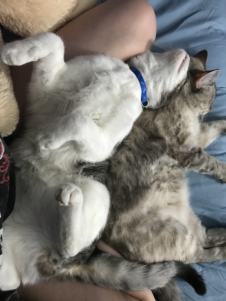 Mimi and Max