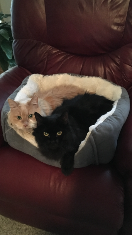 Herman & Suzie