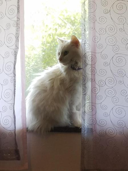 Zeus