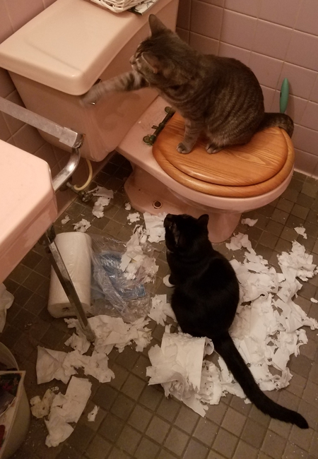Weasley and Baby