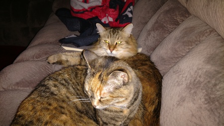 Persephone and Eris
