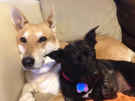 Kanga & Ava