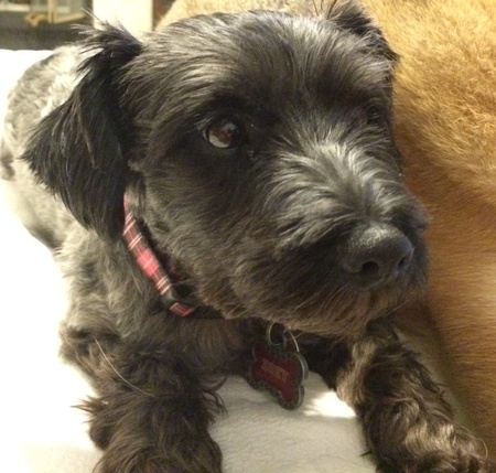 Zoey