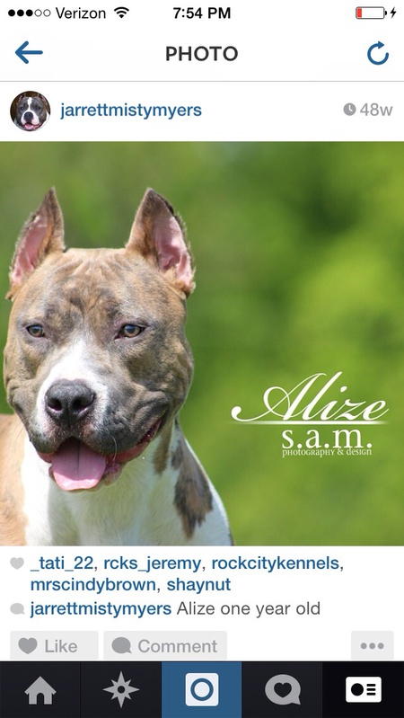 Alize