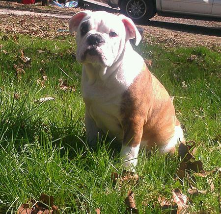 Tucker