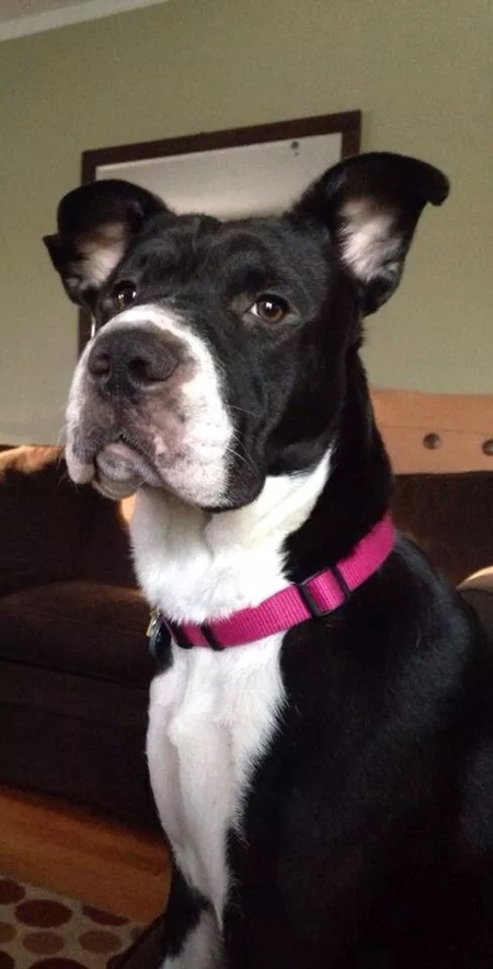 Kimber