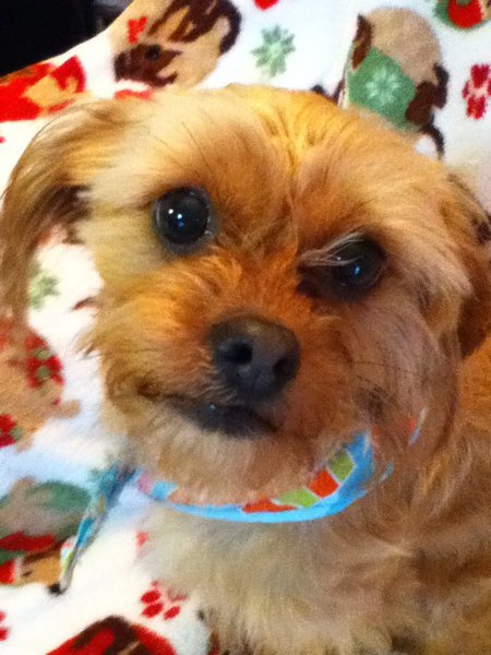 Daisy