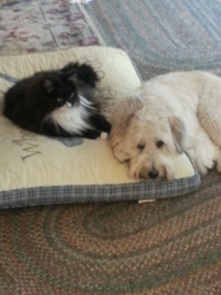 squirt and mittens