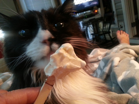 Mittens