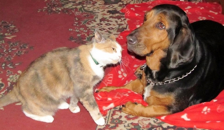 Tink and Oscar