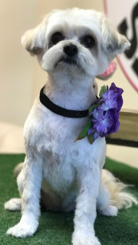 Bonnie