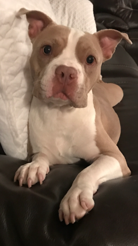 Bella (formerly known as Sweet Pea)