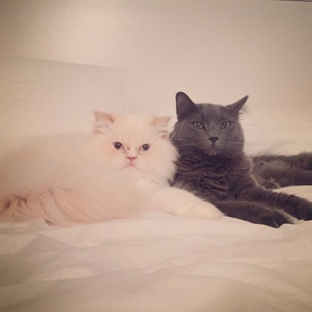 Rocco & Luca