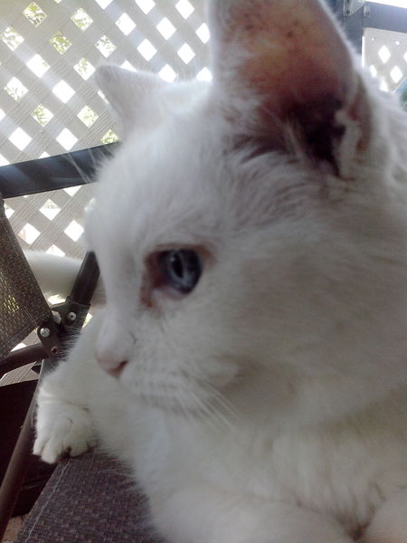 Mici, 27 years old