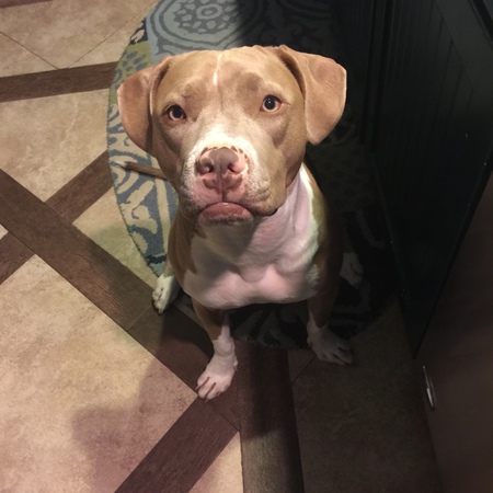 Maggie
