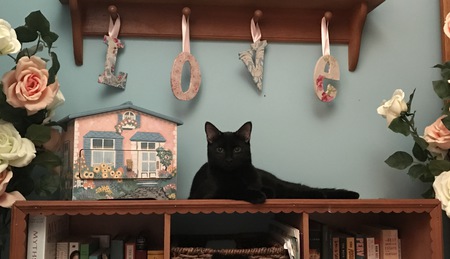 Katana